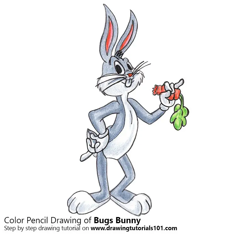 Bugs Bunny Color Pencil Drawing