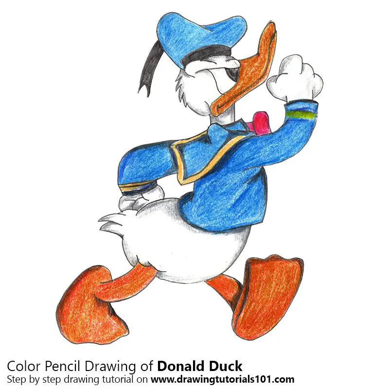 Disney Donald Duck  Cartoon Drawing Lesson  Malane Newman