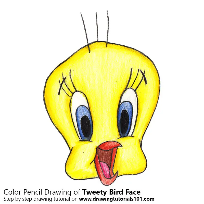 Tweety Bird Face Color Pencil Drawing