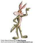 How to Draw The Coyote