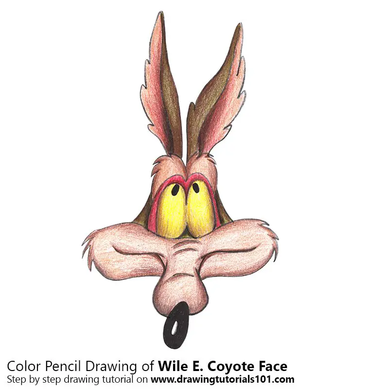 wile e coyote face
