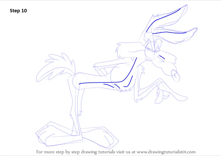 Learn How to Draw Wile E. Coyote (Wile E. Coyote) Step by Step