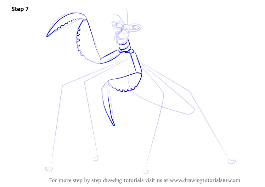 Learn How to Draw Mantis from Kung Fu Panda 3 Kung Fu 