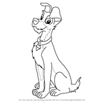 How to Draw Tramp from Lady and the Tramp