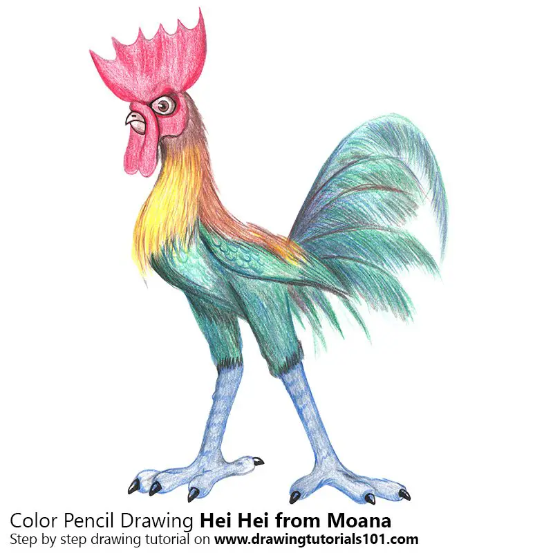 Hei Hei from Moana Color Pencil Drawing