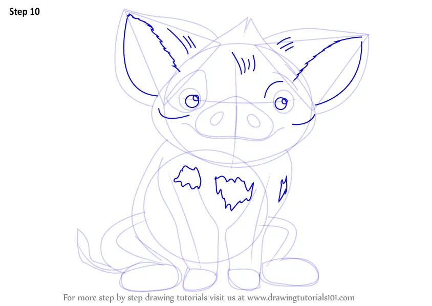 Learn How to Draw Pua from Moana (Moana) Step by Step Drawing Tutorials