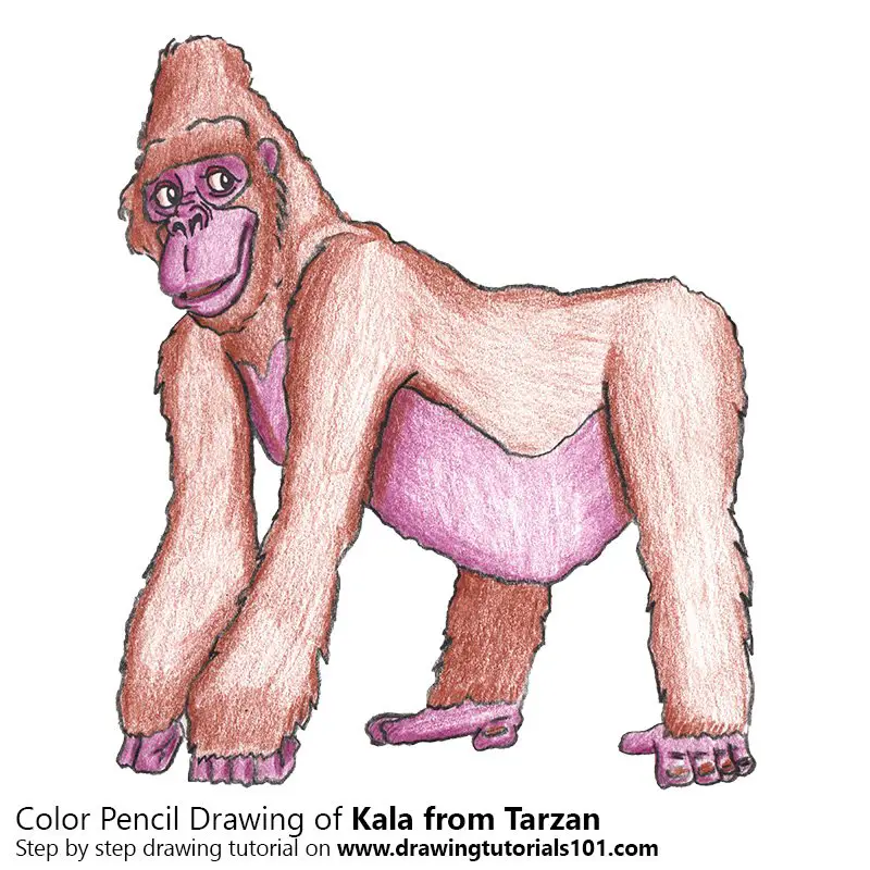Kala from Tarzan Color Pencil Drawing