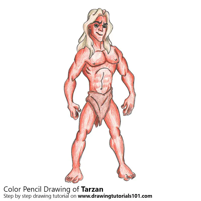 Tarzan Color Pencil Drawing