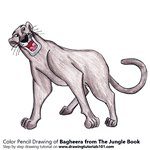 How to Draw Bagheera from The Jungle Book