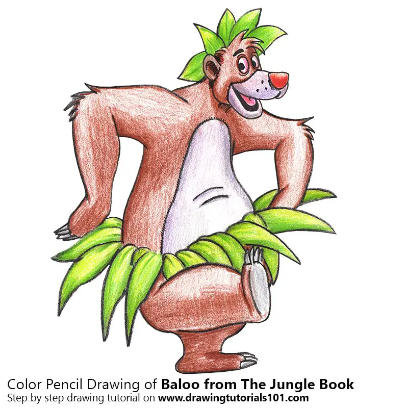 jungle book baloo drawing