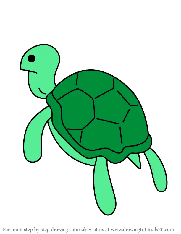 Step by Step How to Draw Representative Sea Turtle from Adventure Time ...