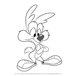 How to Draw Calamity Coyote from Animaniacs