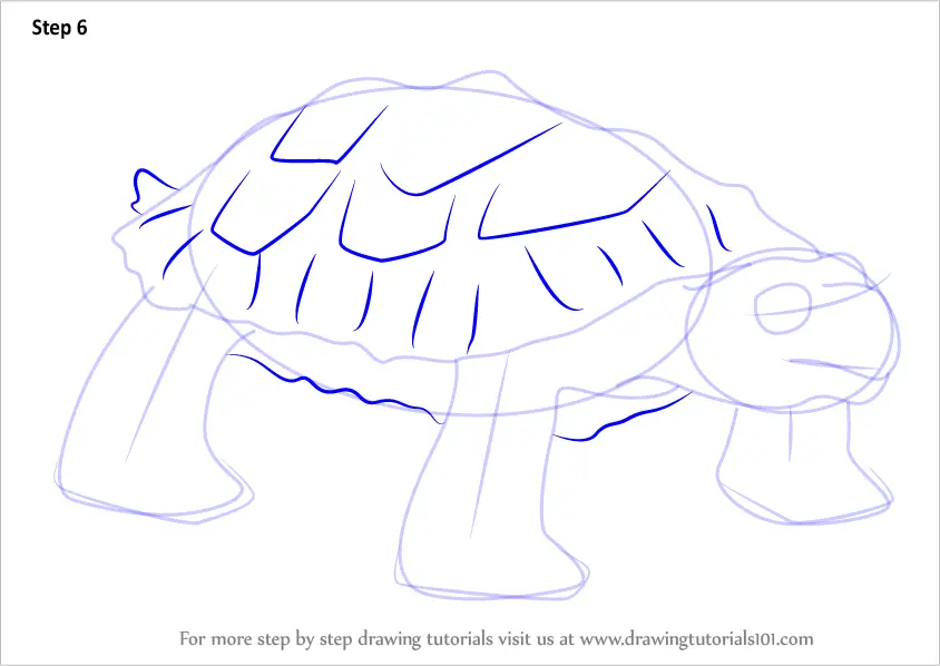 Step by Step How to Draw Pauline Proganochelys from Dinosaur Train ...