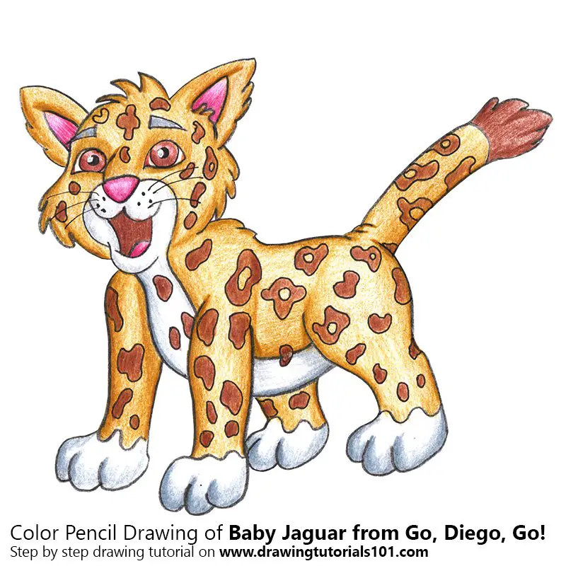 Baby Jaguar from Go, Diego, Go! Colored Pencils - Drawing Baby Jaguar from  Go, Diego, Go! with Color Pencils : 