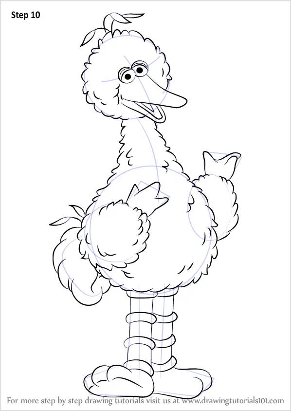 learn how to draw big bird from sesame street sesame