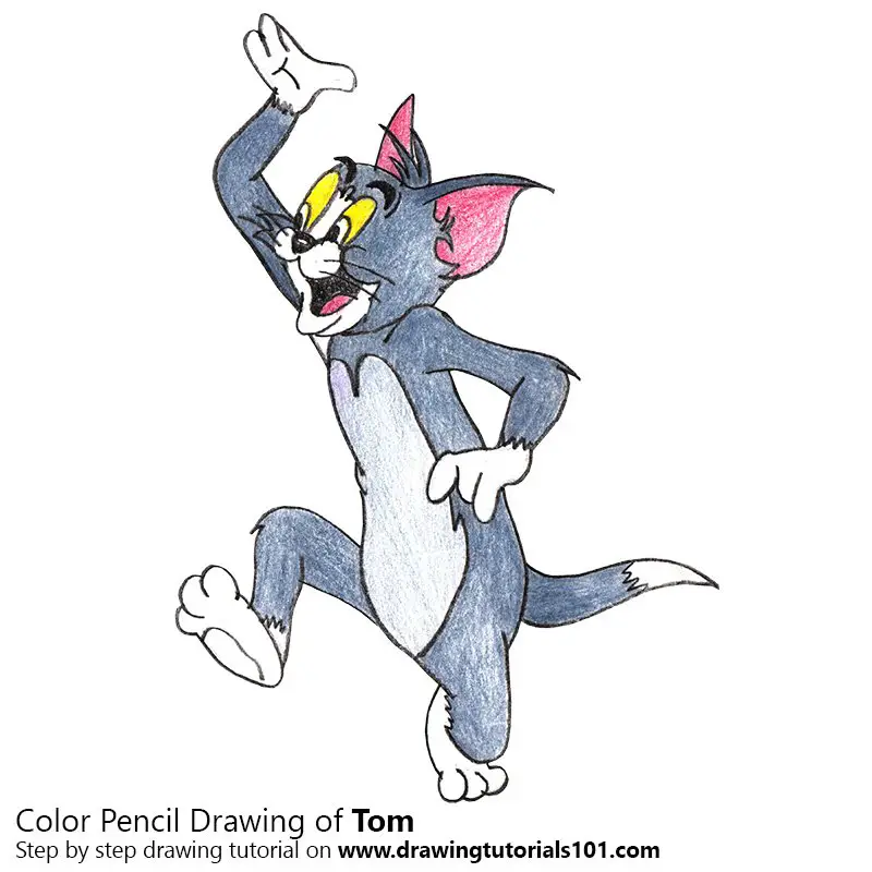 Tom from Tom and Jerry Color Pencil Drawing