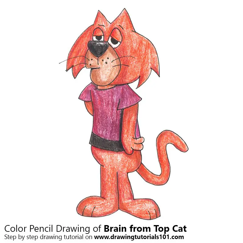 Brain from Top Cat Color Pencil Drawing