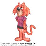 How to Draw Brain from Top Cat
