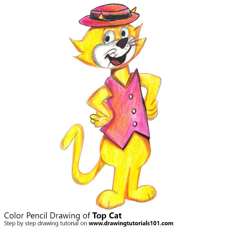 Top Cat Color Pencil Drawing