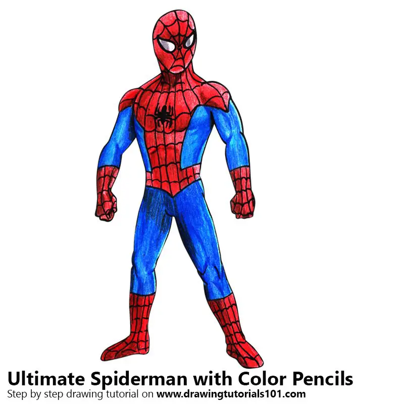 Ultimate Spider-Man Color Pencil Drawing