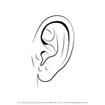 How to Draw Realistic Ear with Pencils printable step by step drawing