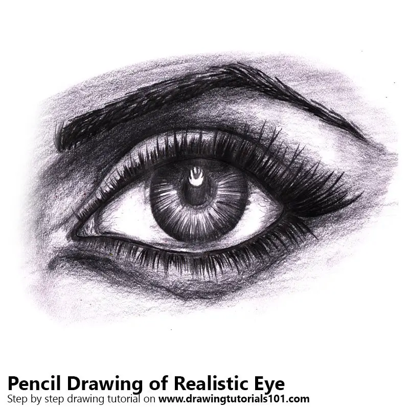 Pencil Sketch of Realistic Eyes - Pencil Drawing