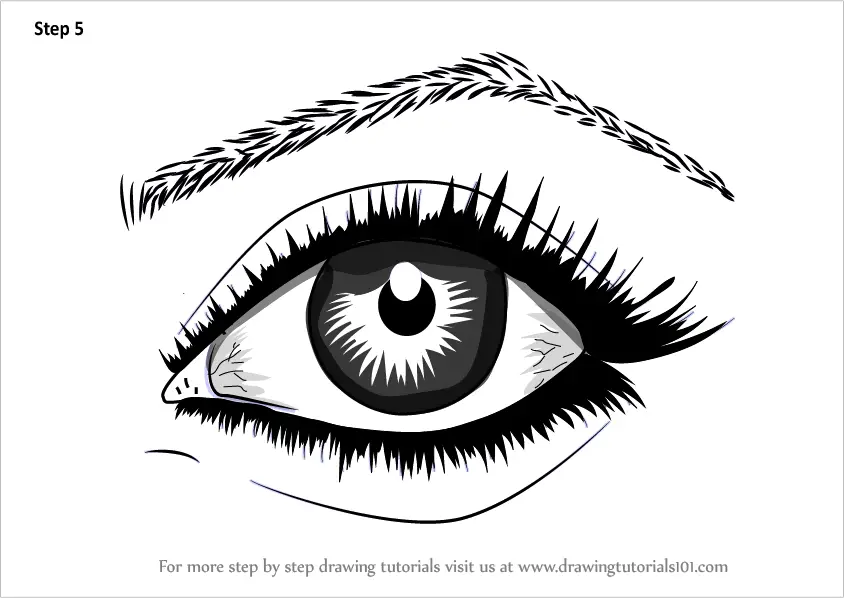 realistic eyes draw step pencil drawing tutorials eye tutorial drawingtutorials101
