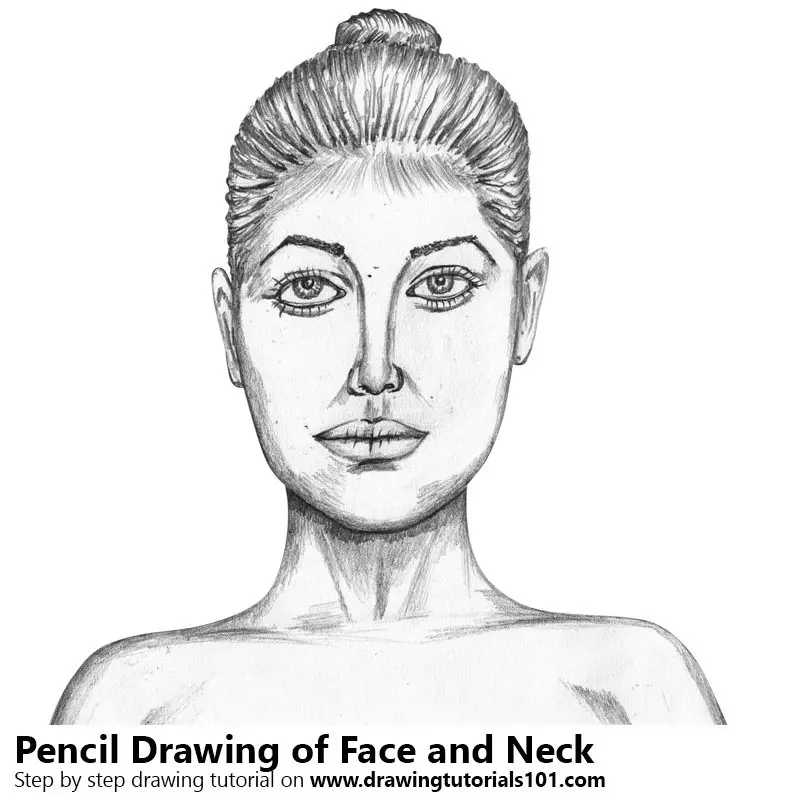 Female Face with Neck Pencil Drawing - How to Sketch Female Face with