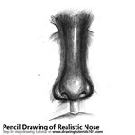 How to Draw Realistic Nose with Pencils