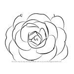 How to Draw a Camellia Flower