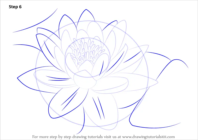 Water Lily Flower For Coloring On A Round Circle Outline Sketch Drawing  Vector, Lilly Pad Drawing, Lilly Pad Outline, Lilly Pad Sketch PNG and  Vector with Transparent Background for Free Download