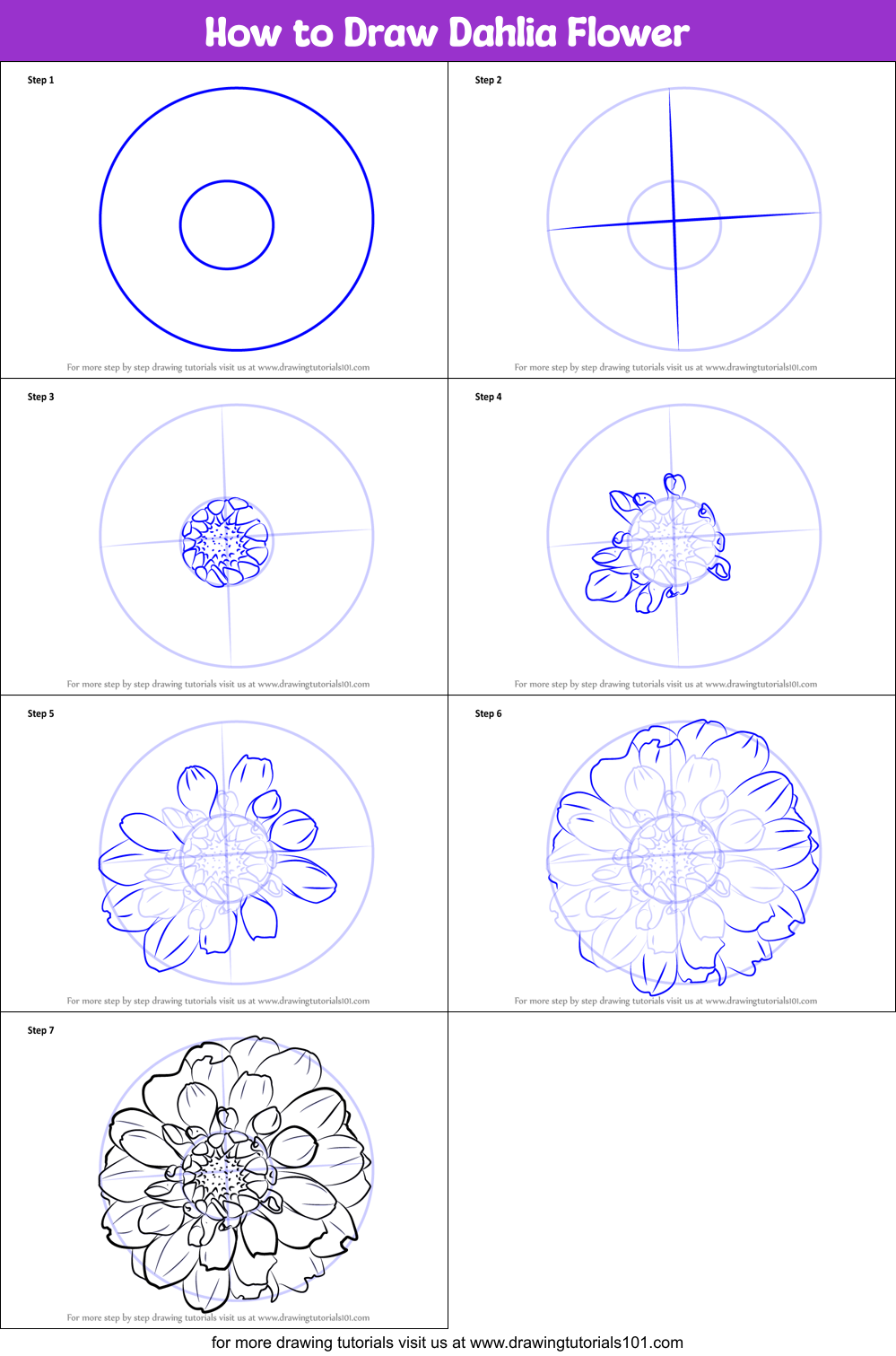 How to Draw Dahlia Flower printable step by step drawing sheet