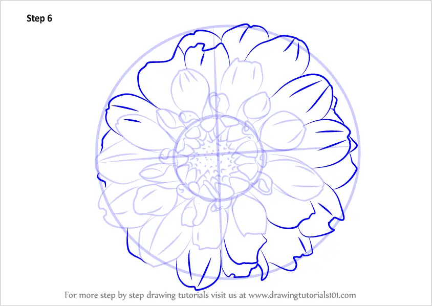 Learn How to Draw Dahlia Flower (Other Flowers) Step by Step : Drawing