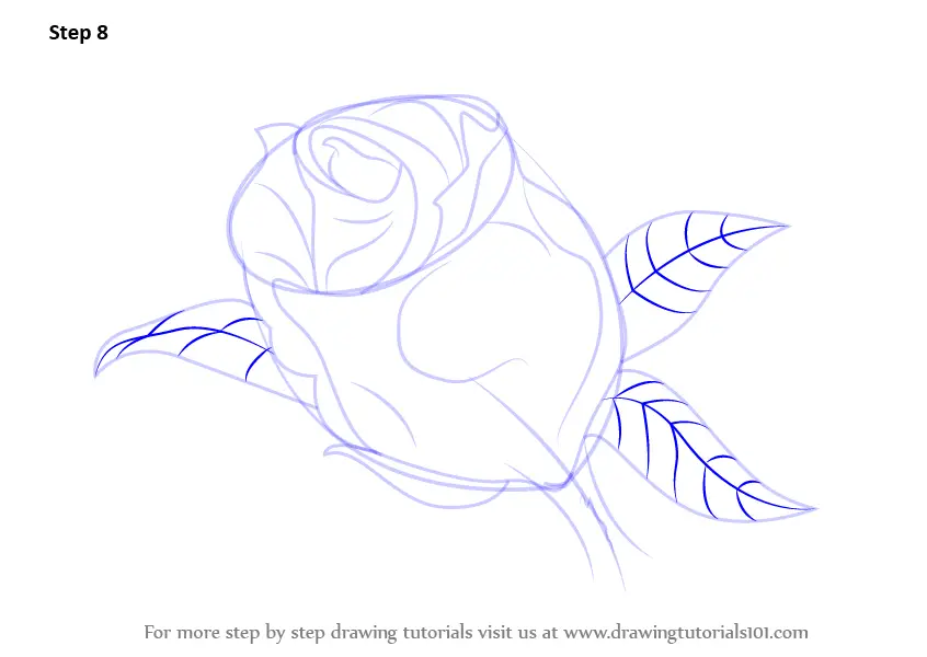 Learn How to Draw a Beautiful Rose (Rose) Step by Step : Drawing Tutorials