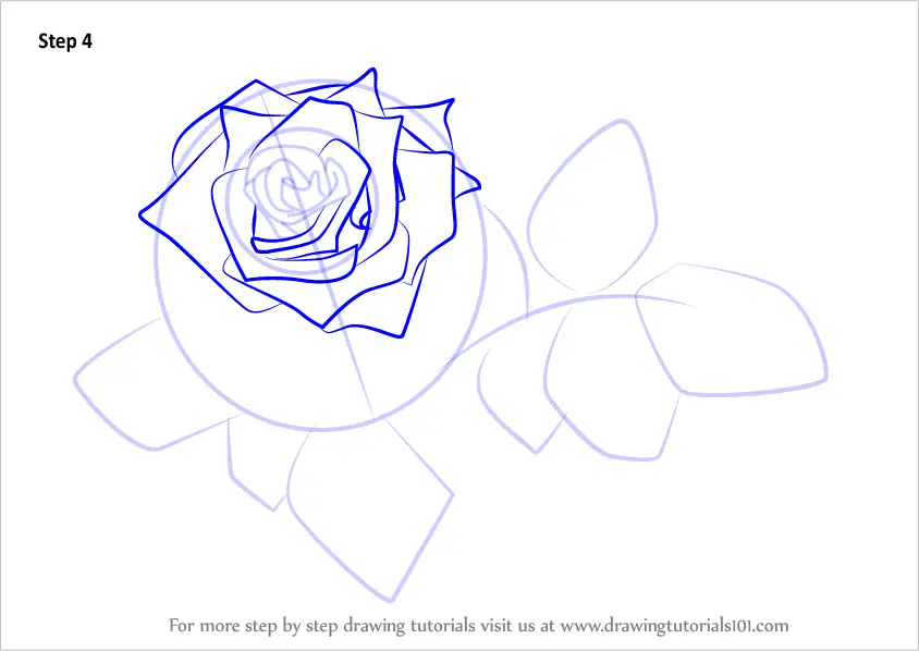 Learn How to Draw Red Rose (Rose) Step by Step : Drawing Tutorials