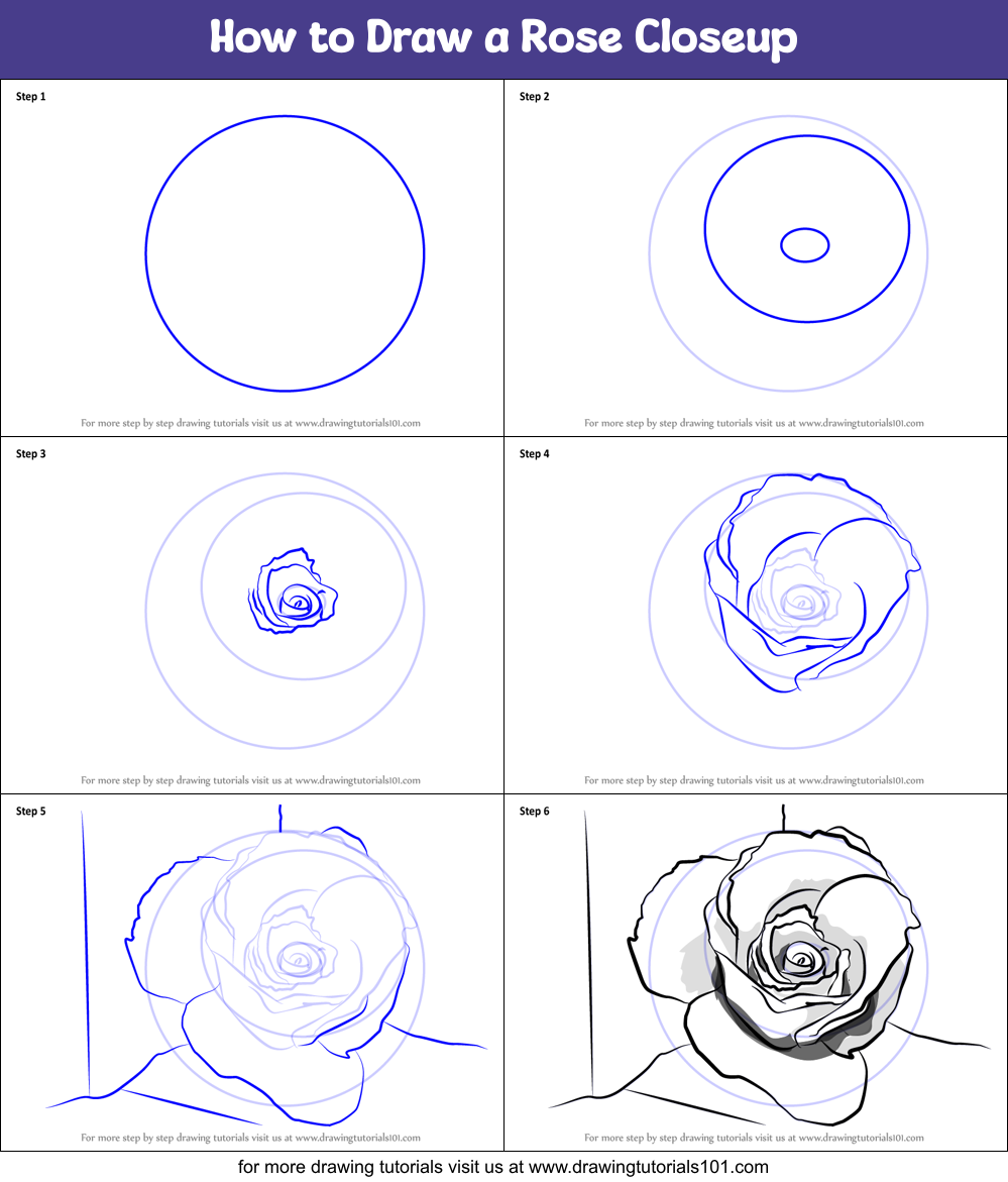 How to Draw a Rose Closeup printable step by step drawing sheet ...