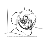 How to Draw a Rose Closeup