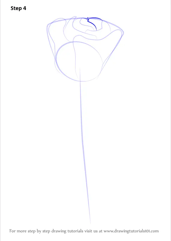 Learn How to Draw a Rose Easy (Rose) Step by Step : Drawing Tutorials