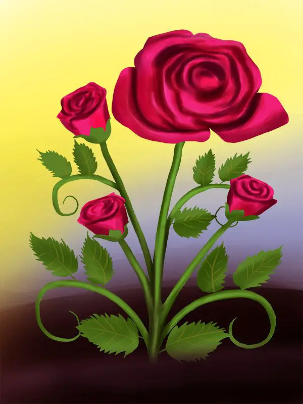 Learn How to Draw a Rose Plant (Rose) Step by Step