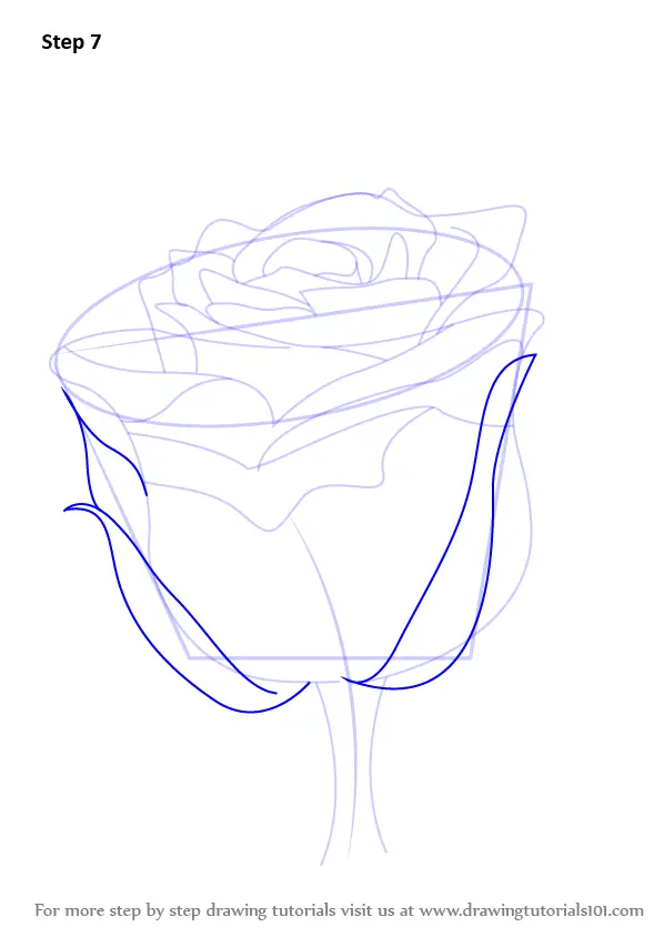 Step by Step How to Draw a Rose with Stem : DrawingTutorials101.com