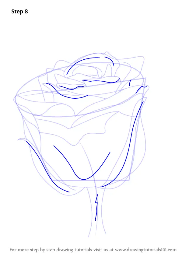 Step by Step How to Draw a Rose with Stem : DrawingTutorials101.com