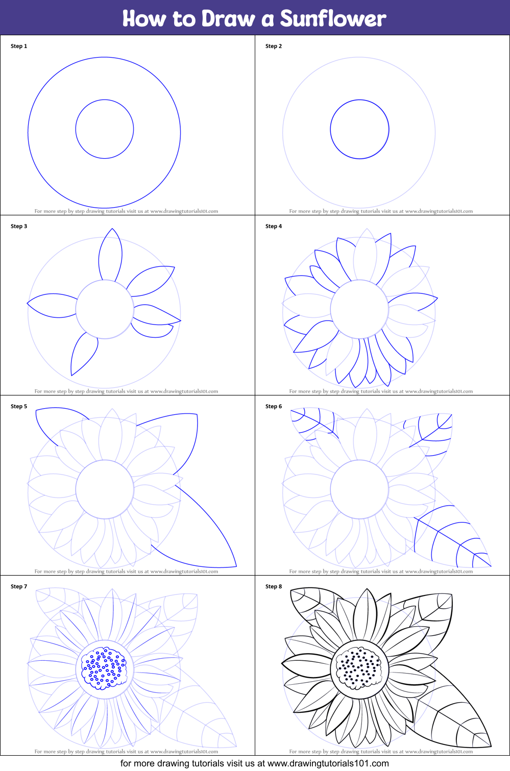 How to Draw a Sunflower printable step by step drawing sheet
