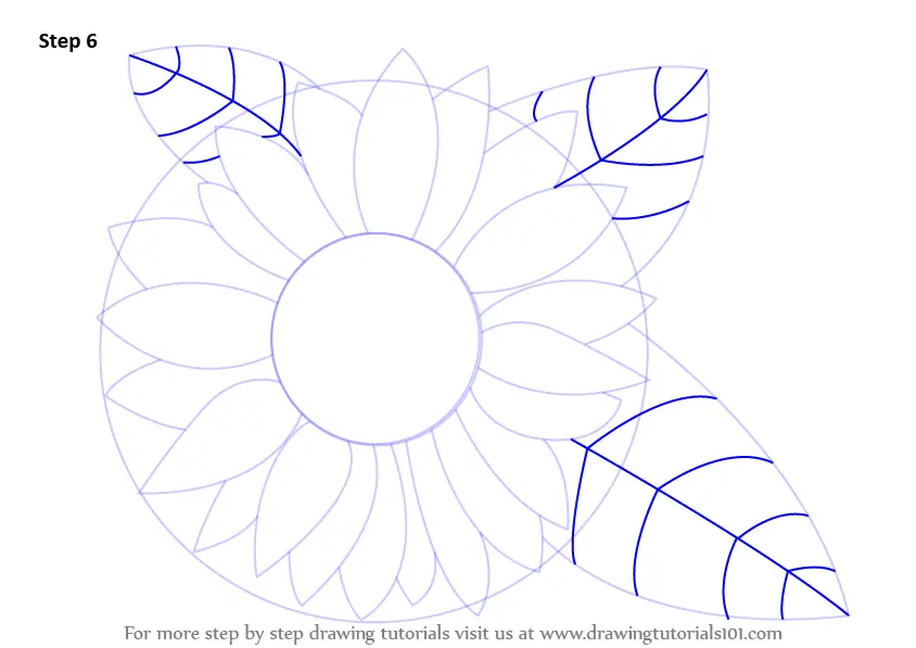 Learn How to Draw a Sunflower (Sunflower) Step by Step : Drawing Tutorials