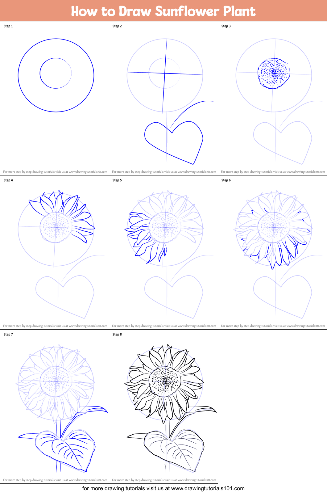 How to Draw Sunflower Plant printable step by step drawing
