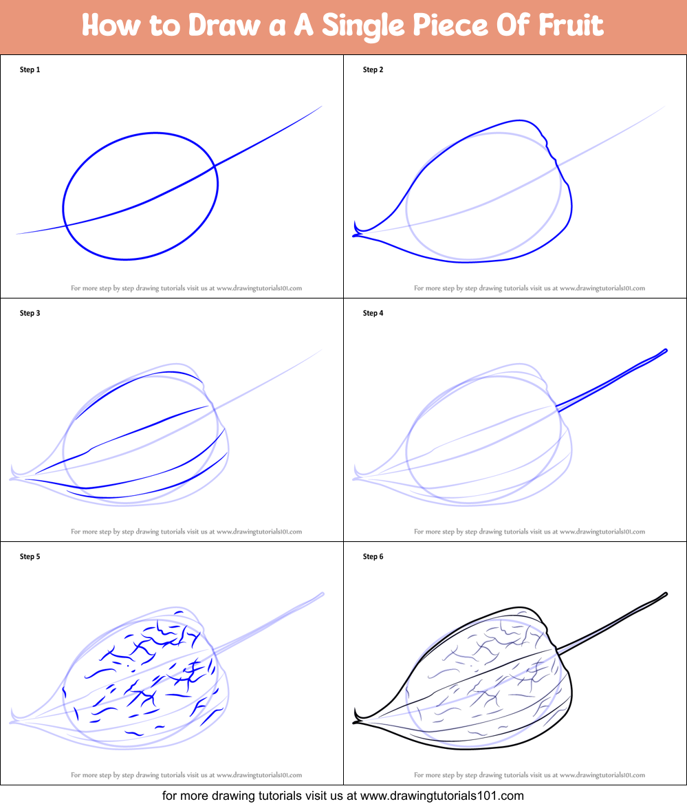 How To Draw A A Single Piece Of Fruit Printable Step By Step Drawing 