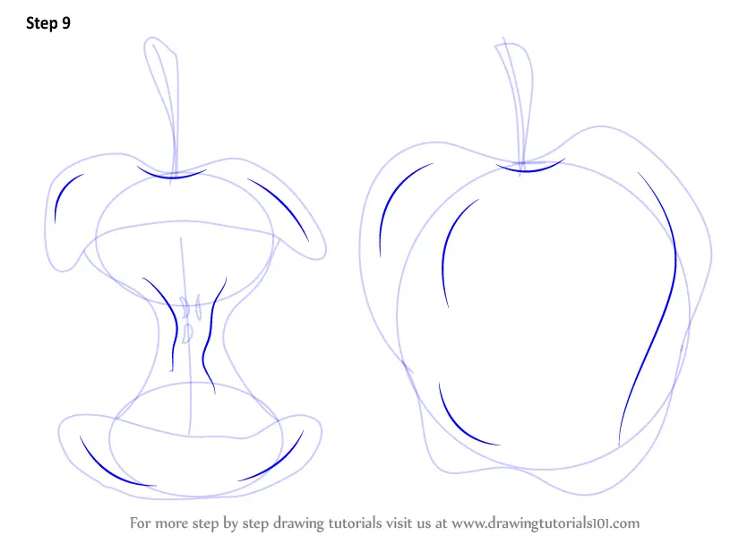 Learn How to Draw an Apple (Fruits) Step by Step : Drawing Tutorials