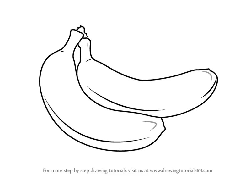 Step by Step How to Draw a Banana Pair : DrawingTutorials101.com