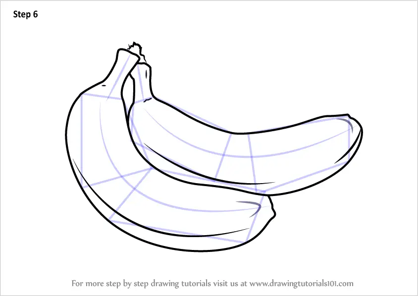 Premium Vector  Banana drawing with vintage style