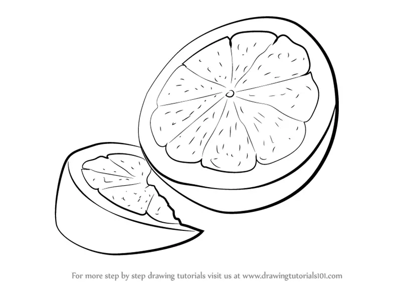 Learn How to Draw Lemon Fruit (Fruits) Step by Step : Drawing Tutorials