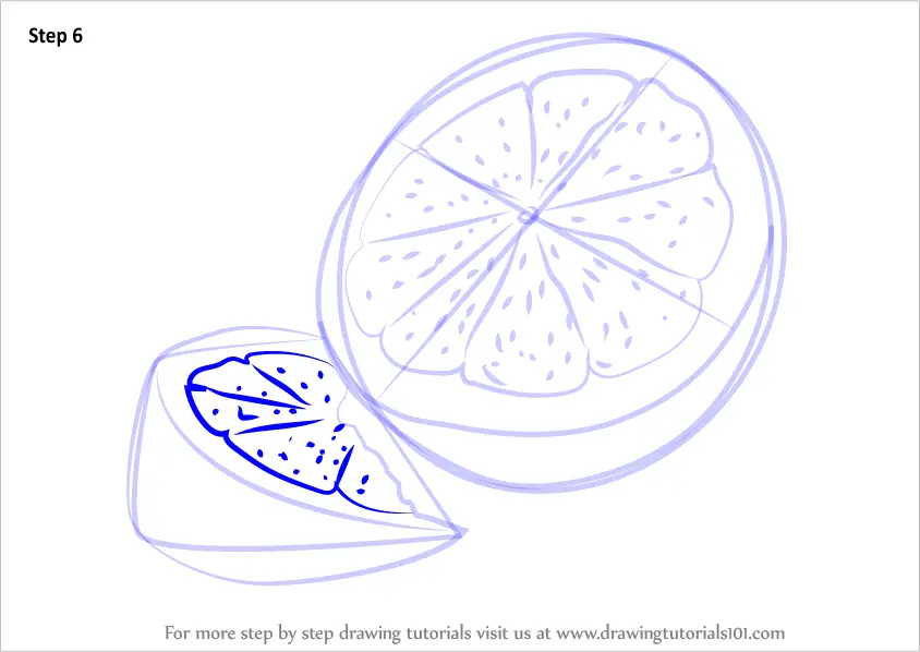 Step By Step How To Draw Lemon Fruit